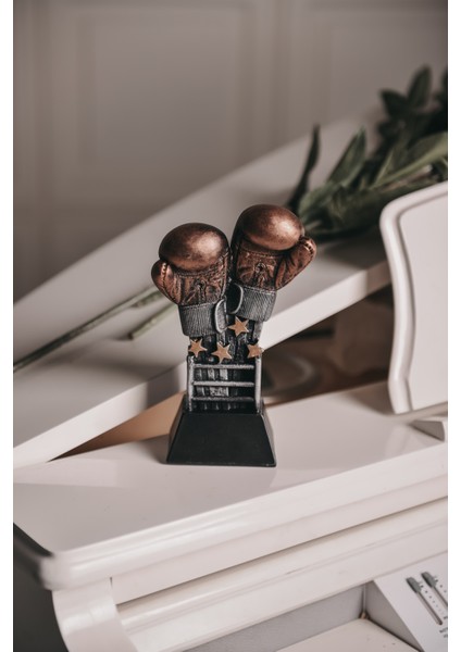 Boks Eldivenleri Biblo Şampiyon Eldivenler modelleri