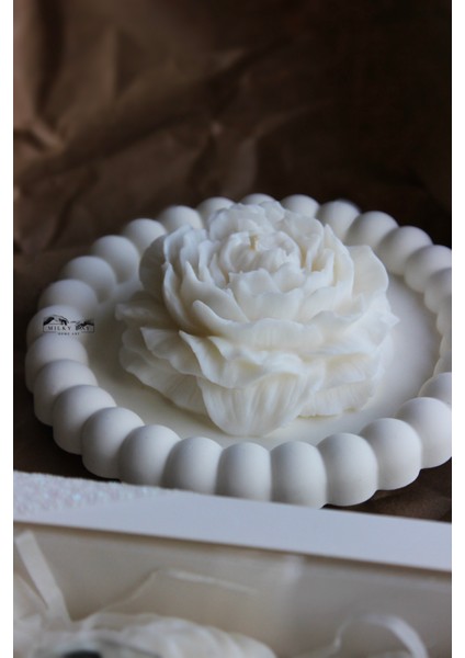 Baloncuk Model Dekoratif Tabak Mum/takı/sunumluk fiyatları