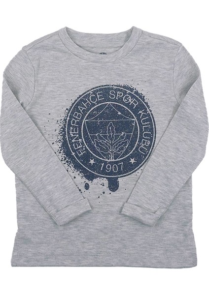 Lisanslı Yaldızlı Fb Logo Gri Çocuk Sweat modelleri