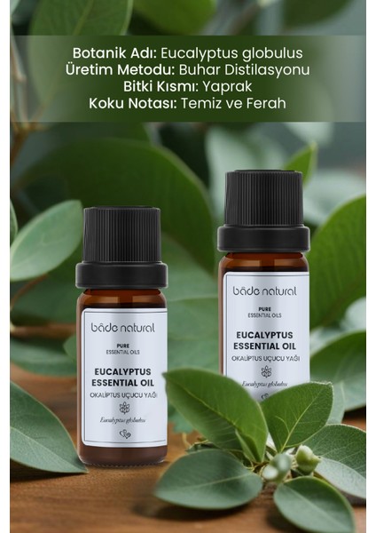 Bade Natural Okaliptus Uçucu Yağı %100 Saf 10 ml