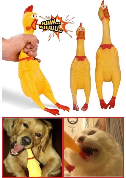 Sesli Horoz Eğlenceli Köpek ve Kediler İçin Sesli Öten Horoz Oyuncak 28 cm