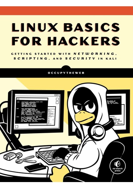 Linux Basics For Hackers: Getting Started With Networking, Scripting, And Security In Kali