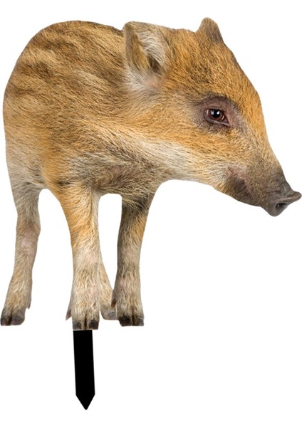 Gerçekçi Heykel Domuz Iş Heykeli Kazıklar Ackyard Patio B (Yurt Dışından) fırsatları