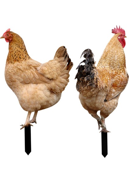 Tavuk Heykeli Kazıkları Akrilik Figürinler Dekoru (Yurt Dışından) fırsatları