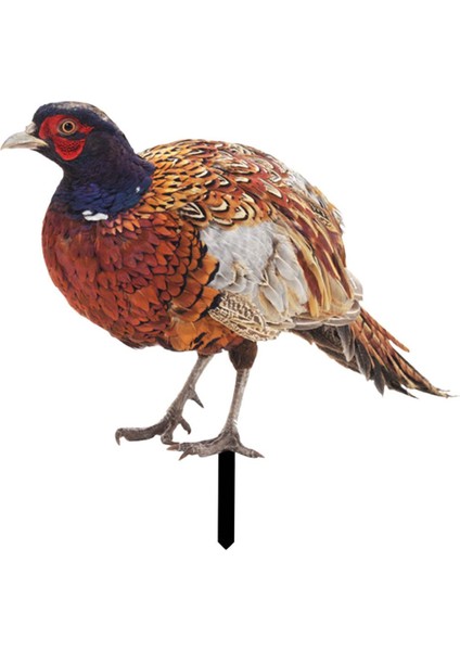 Heykel, Için Gerçekçi Peyzaj Süsleri, B (Yurt Dışından)