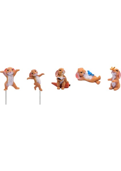 Figürleri Icı Şınabilir Süsü B (Yurt Dışından)