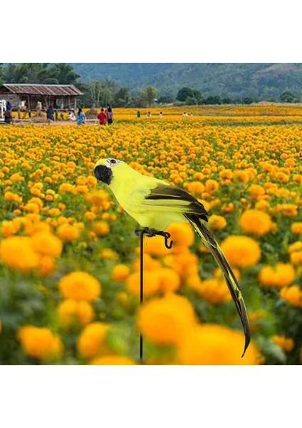 Ük Pençeli Kuş Heykel 45CM Tüy Papağan Açı Dış Veranda Dekorasyonu Sarı 45X10CM (Yurt Dışından) indirimleri