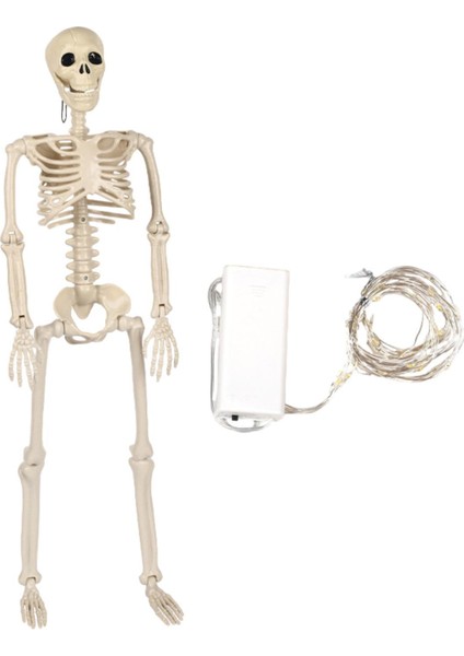 Açı Iç Bahçeleri Için Hareketli Cadılar I I Süslemeleri (Yurt Dışından)