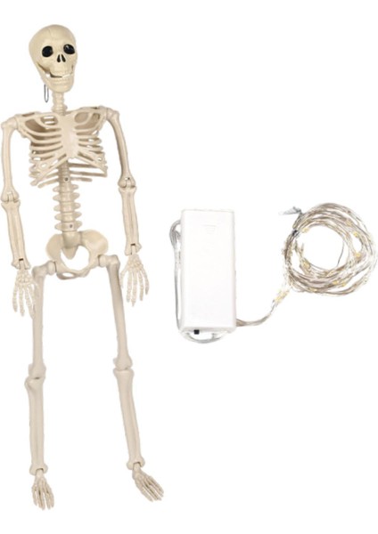 Açı Iç Bahçeleri Için Hareketli Cadılar I I Süslemeleri (Yurt Dışından) modelleri