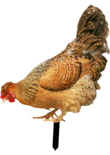 Dekoratif Tavuk Kazıkları Hediyeleri Heykeli Açık Veranda Çiti B (Yurt Dışından) modelleri
