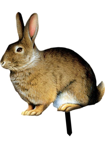 Dekoratif Süs Gerçekçi Taşınabilir Bir (Yurt Dışından)