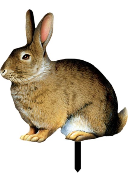 Dekoratif Süs Gerçekçi Taşınabilir Bir (Yurt Dışından) modelleri