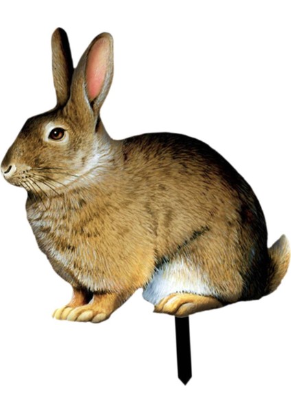 Dekoratif Süs Gerçekçi Taşınabilir Bir (Yurt Dışından) fırsatları