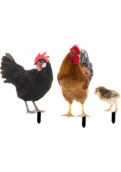 3 Tavuk Heykeli Kazıkları Heykelleri Dış Çit Veranda Için (Yurt Dışından) fiyatları