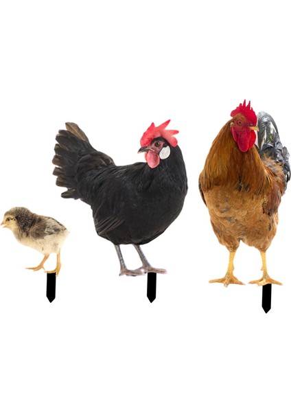 3 Tavuk Heykeli Kazıkları Heykelleri Dış Çit Veranda Için (Yurt Dışından) modelleri