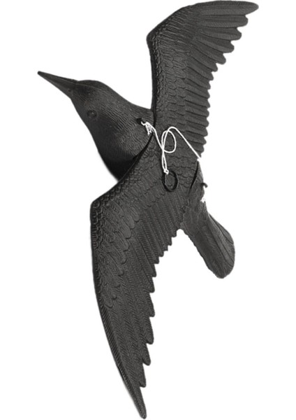 Dekoratif Heykeli Koleksiyonluk Çocuk Oyuncağı Kuş Heykeli Sahte (Yurt Dışından) modelleri