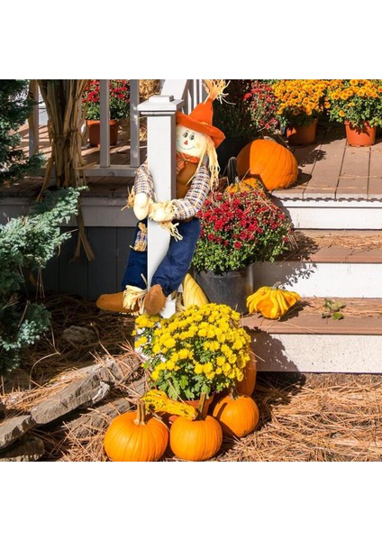Sonbahar Korkuluğu Sonbahar Korkuluğu Şömine Dış I (Yurt Dışından) indirimleri
