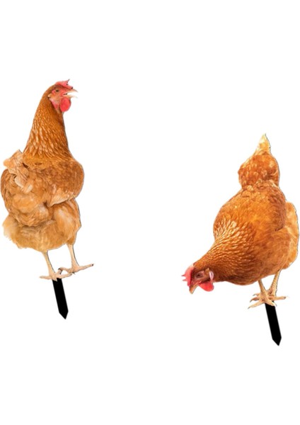 2x Tavuk Hayvan Heykeli Kazığı Avlu Bahçe Çim Için Tavuk Heykeli (Yurt Dışından)