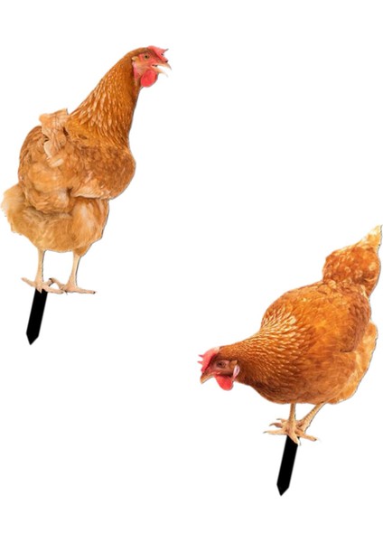 2x Tavuk Hayvan Heykeli Kazığı Avlu Bahçe Çim Için Tavuk Heykeli (Yurt Dışından) fiyatları