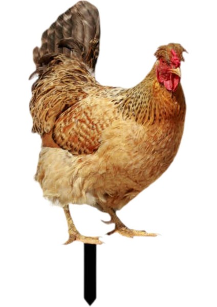 Dekoratif Tavuk Kazıkları Hediyeleri Açı I Için Akrilik Heykelcik A (Yurt Dışından)