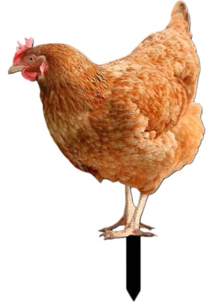 Kazıkları Hediyeleri Dekorasyonu Heykeli Açık Çim B (Yurt Dışından)