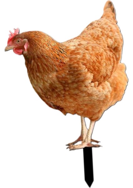 Kazıkları Hediyeleri Dekorasyonu Heykeli Açık Çim B (Yurt Dışından) fiyatları