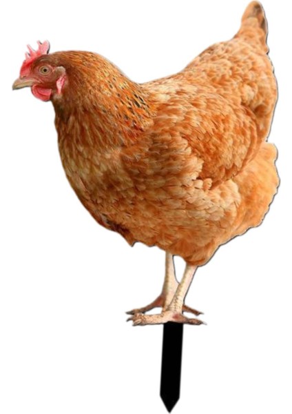 Kazıkları Hediyeleri Dekorasyonu Heykeli Açık Çim B (Yurt Dışından) modelleri