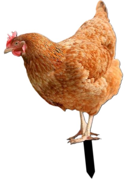 Kazıkları Hediyeleri Dekorasyonu Heykeli Açık Çim B (Yurt Dışından) fırsatları