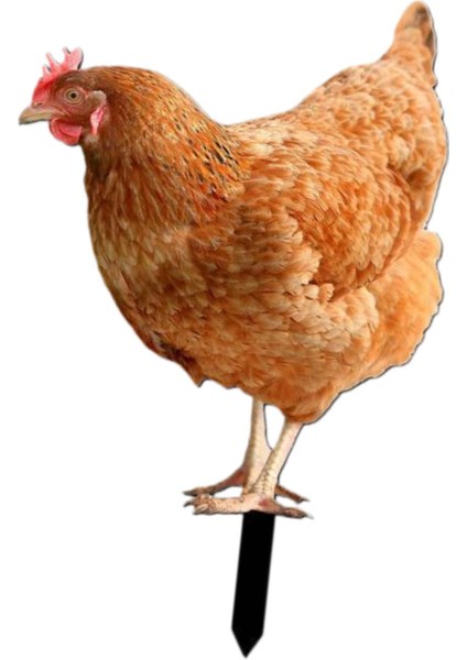 Kazıkları Hediyeleri Dekorasyonu Heykeli Açık Çim B (Yurt Dışından) indirimleri