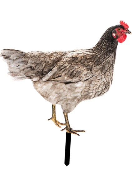 Heykel Kazık Tavuk Çim Süsleme Heykel Sanatları B (Yurt Dışından) modelleri