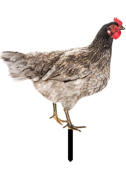 Heykel Kazık Tavuk Çim Süsleme Heykel Sanatları B (Yurt Dışından) fırsatları