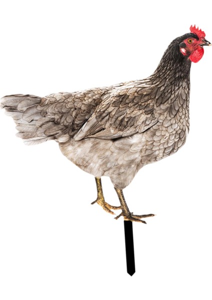Heykel Kazık Tavuk Çim Süsleme Heykel Sanatları B (Yurt Dışından) indirimleri