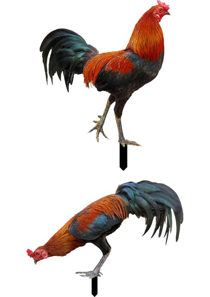 Kazığı A ve B Için Kullanımı Heykel (Yurt Dışından)