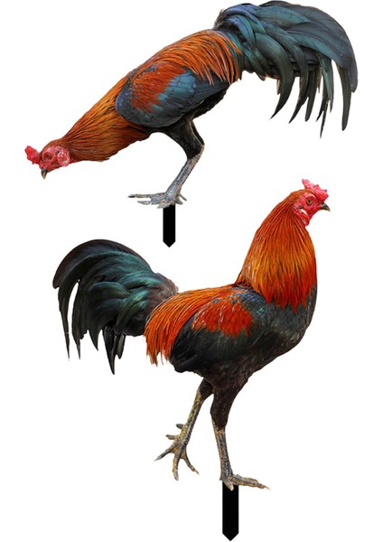 Kazığı A ve B Için Kullanımı Heykel (Yurt Dışından) fiyatları