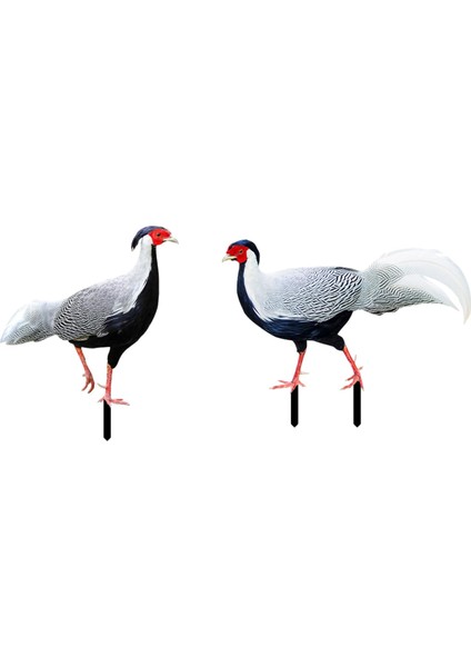2 Adet Tavuk Hayvan Heykeli Kazık Işaret Bahçe Kazıkları Bahçe Sanat Heykeli Için (Yurt Dışından)