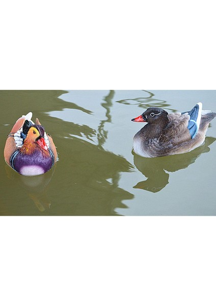 1 Çift Ördek Heykelciği Su Dekorasyonu Peri Için (Yurt Dışından) modelleri