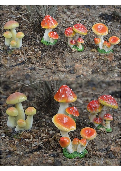 Dıy Açı Mini Kırmızı Teraryum Dekorları I (Yurt Dışından) indirimleri