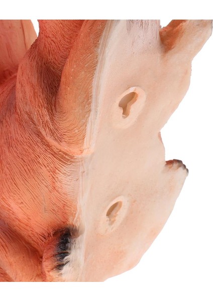 El Yapımı Canlı Sincap Heykeli Fotoğraf Aksesuarları Ağaç Süsü (Yurt Dışından) modelleri