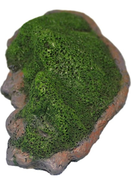 Mikro Için Dekor Üstü Süsü (Yurt Dışından) modelleri