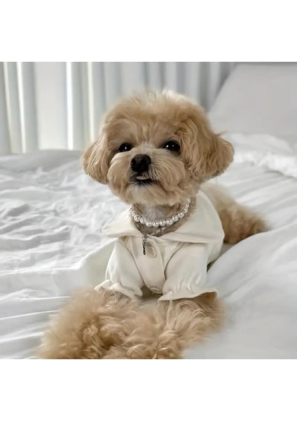 Kedi ve Köpek Tasması, Evcil Hayvan Kolyesi, Inci Tasma