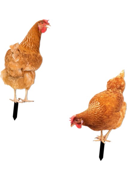 2x Tavuk Heykel Kazığı Hayvan Figürleri Avlu Çim Yolu Kazığı (Yurt Dışından)