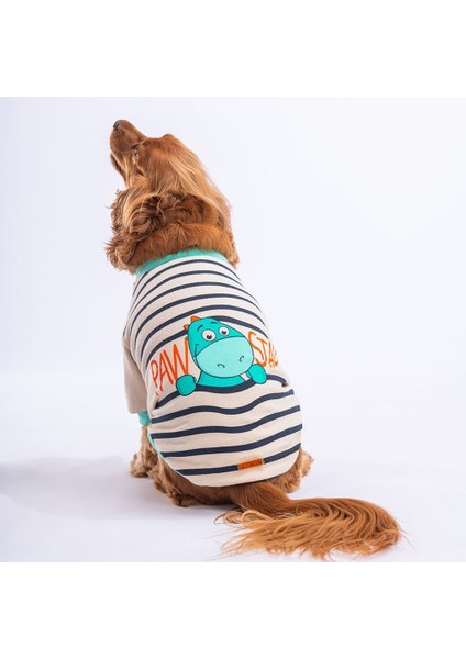 Bej Dino Star Sweat Küçük ve Orta Irk Sweat