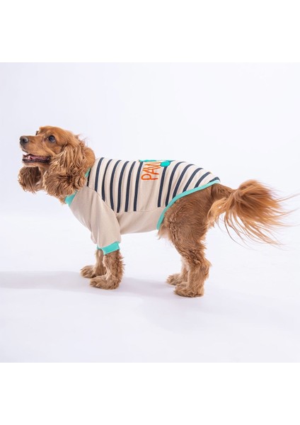 Bej Dino Star Sweat Küçük ve Orta Irk Sweat fiyatları
