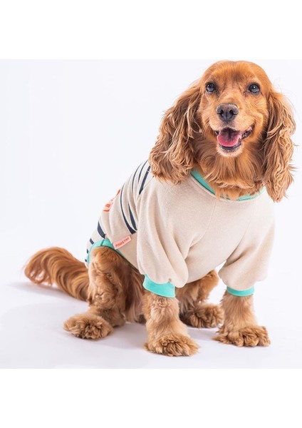 Bej Dino Star Sweat Küçük ve Orta Irk Sweat modelleri