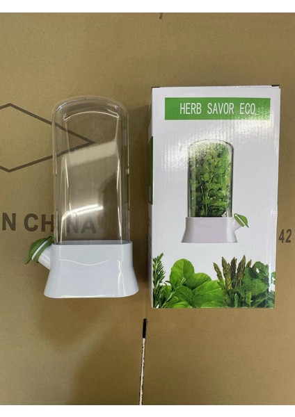 Sebze Anti-Basınç Taze Tutma Fincan Herb Sebze Taze Tutma Kutusu (Yurt Dışından)