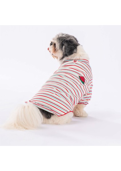 Cocomero Küçük ve Orta Irk Sweat