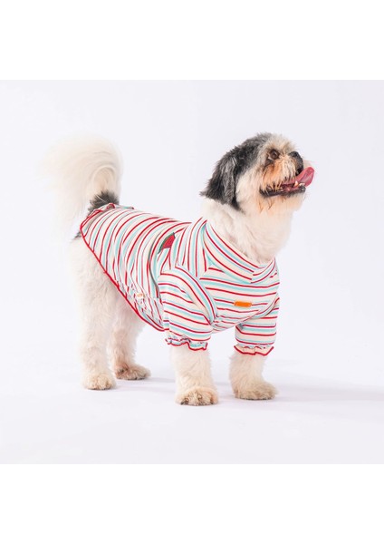 Cocomero Küçük ve Orta Irk Sweat fiyatları