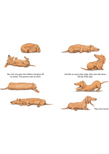Two Dogs
