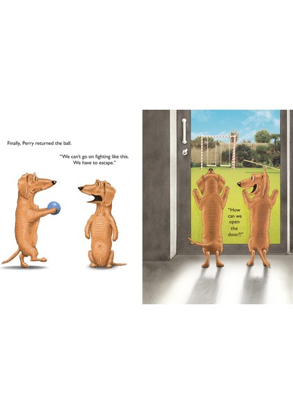 Two Dogs