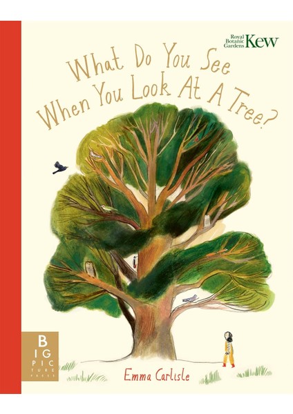 What Do You See When You Look At A Tree?